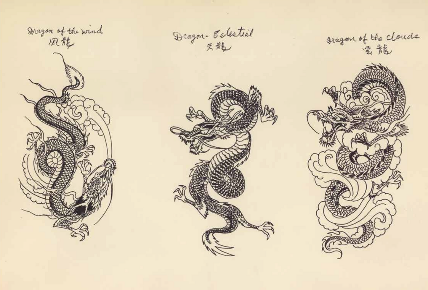 Tattoo Master Pinky Yun: The Don Ed Hardy Collection